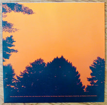 DDT (29) : Freshwater (LP, Album, Ltd, Che)