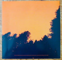 DDT (29) : Freshwater (LP, Album, Ltd, Che)