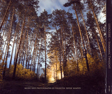 Liholesie* : Shamanic Twilight (CD, Album)