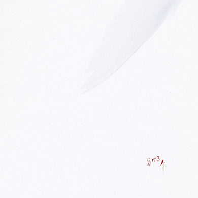 jj (15) : jj n° 3 (CD, Album)