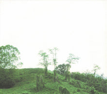 Julianna Barwick : The Magic Place (CD, Album, Car)