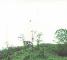 Julianna Barwick : The Magic Place (CD, Album, Car)