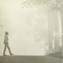 Milton Nascimento : Encontros E Despedidas (LP, Album)