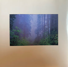 George Winston : Forest (CD, Album)