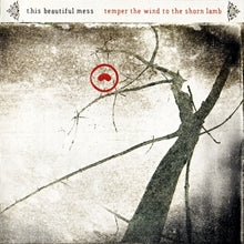 This Beautiful Mess : Temper The Wind To The Shorn Lamb (CD, Album)