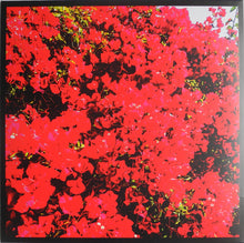 Brant Bjork : Bougainvillea Suite (LP, Album, Ltd, Mus)