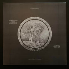 Sunstain : Modern Nature (LP, Album, Ltd, Ora)