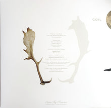 Coil : The Ape Of Naples (3xLP, Album, Ltd, RE)
