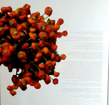 Coil : The Ape Of Naples (3xLP, Album, Ltd, RE)