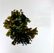 Coil : The Ape Of Naples (3xLP, Album, Ltd, RE)