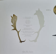 Coil : The Ape Of Naples (3xLP, Album, Ltd, RE, Whi)