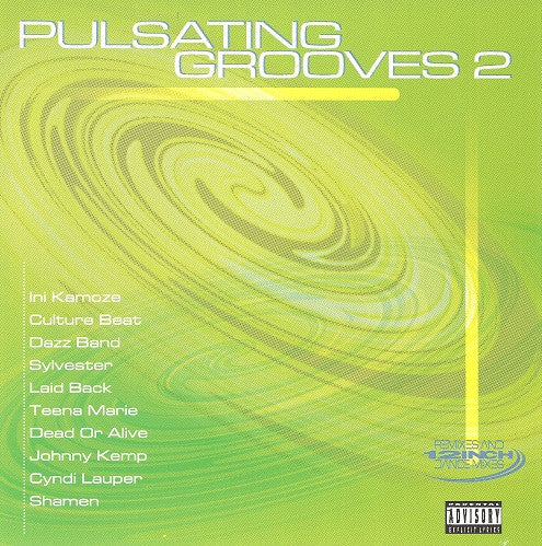Various : Pulsating Grooves 2 (CD, Comp)
