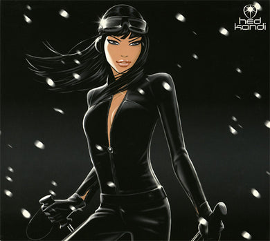 Various : Winter Chill 06.03 (2xCD, Comp)