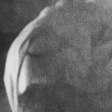 Heavy Winged : Sunspotted (CD, Album)