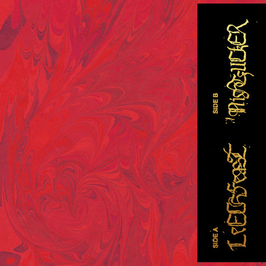 Leechfeast / Nightfucker : Split (LP)