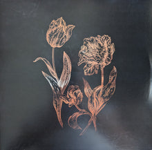 Dvne : Cycles of Asphodel  (12", EP, Ltd, Num, Mil)