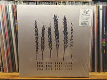 Lo! (2) : The Gleaners (LP, Album, Ltd, Rat)