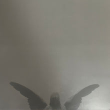 Jesu : Pity / Piety (12", MiniAlbum, Ltd, Whi)