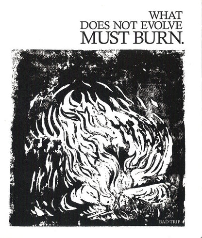 Bad Trip (2) : What Does Not Evolve Must Burn (CD, EP)