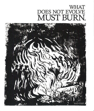 Bad Trip (2) : What Does Not Evolve Must Burn (CD, EP)