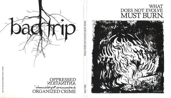 Bad Trip (2) : What Does Not Evolve Must Burn (CD, EP)