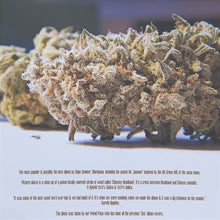 Dope Smoker : Marijuana (LP, Album, RM,  Mi)
