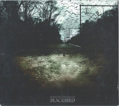 Some Pedestrians : Blackbird (CD, Album, Dig)