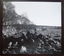 Christina Carter : Texas Blues Working (CD, Album, Ltd, RE)