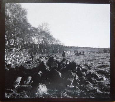 Christina Carter : Texas Blues Working (CD, Album, Ltd, RE)