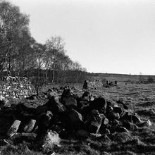 Christina Carter : Texas Blues Working (CD, Album, Ltd, RE)