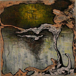 Julian Lynch : Terra (CD, Album)