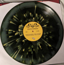 Toxic Holocaust : Chemistry Of Consciousness (LP, Album, RP, Gre)