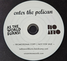 As The World Burns : Enter The Pelican (CD, Promo)