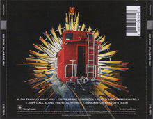 Bob Dylan & The Grateful Dead : Dylan & The Dead (CD, Album, RM)