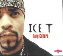 Ice-T : Gang Culture (CD, Comp)
