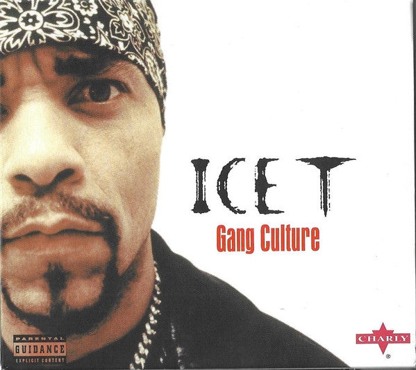 Ice-T : Gang Culture (CD, Comp)