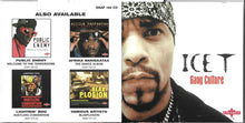 Ice-T : Gang Culture (CD, Comp)