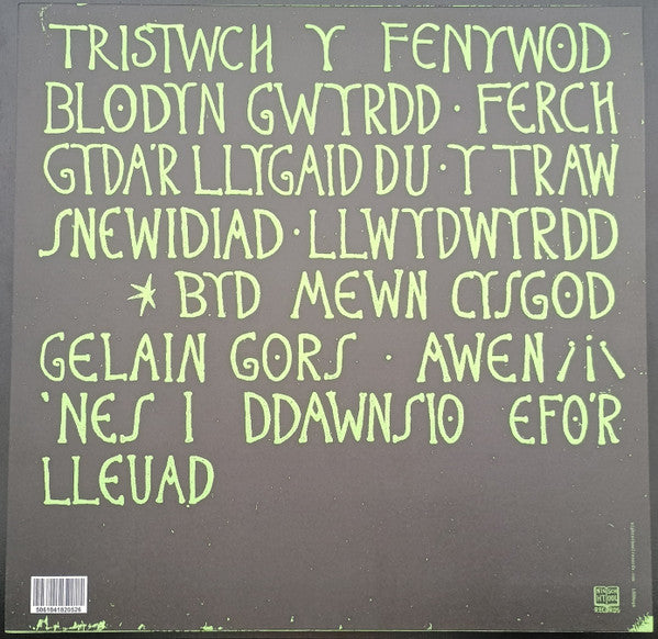 Tristwch Y Fenywod : Tristwch Y Fenywod (LP, Album, Ltd)