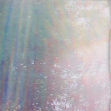 Dirty Projectors + Björk : Mount Wittenberg Orca (CD, EP)