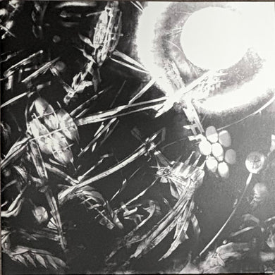 The Bug : Machine (2xLP, Comp, Red)