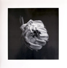 A Swarm Of The Sun : An Empire (2xLP, Album, Ltd, Cle)