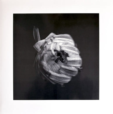 A Swarm Of The Sun : An Empire (2xLP, Album, Ltd, Cle)