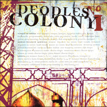 Temple Of Sound & Rizwan-Muazzam Qawwali : People's Colony No 1 (CD, Album)