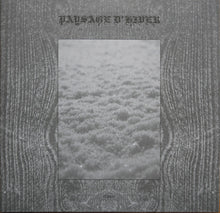 Paysage D'Hiver : Schnee (2xLP, Comp, RE)