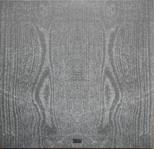 Paysage D'Hiver : Schnee (2xLP, Comp, RE)