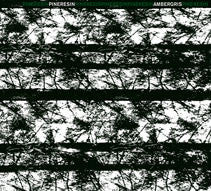 Pineresin : Ambergris (CDr, Album)