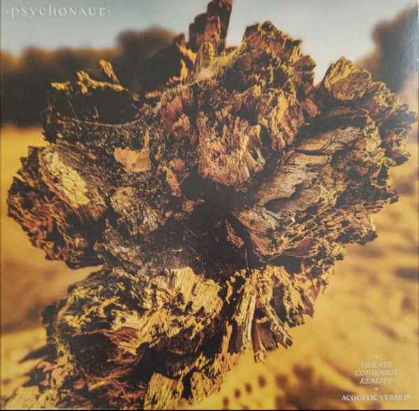 Psychonaut (7) : Violate Consensus Reality (Acoustic Version) (10