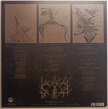 Kaatayra : Toda História Pela Frente (LP, Album, Ltd, Tra)