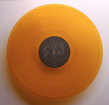 Kaatayra : Toda História Pela Frente (LP, Album, Ltd, Tra)