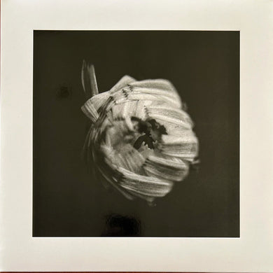 A Swarm Of The Sun : An Empire (2xLP, Album)